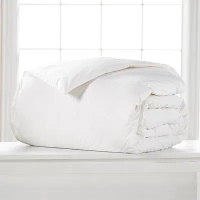 Ella Jayne Home Down Feather Blend Comforter In White