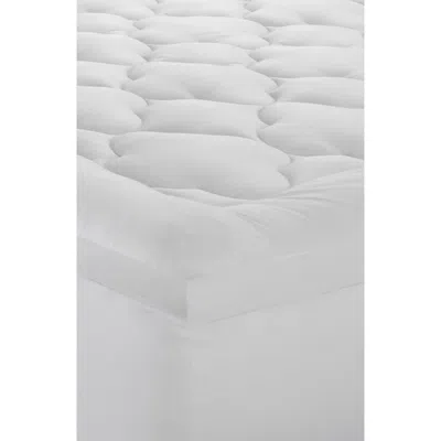 Ella Jayne Home Lofty 100% Cotton Plush Gel Fiber Filled Mattress Topper In White