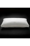 Ella Jayne Home Memory Fiber Pillow Cotton Luxurious Mesh Gusseted All Sleeper Standard Pillow In White