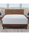 Ella Jayne Luxury 2 Loft White Goose Down Plush Feather Bed In White