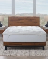 Ella Jayne Luxury White Down 2 Piece Comforter And Featherbed Bundle, California King In White