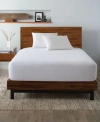 Ella Jayne Terry Cloth Water Proof Pillow Protector Set Of 2 In White