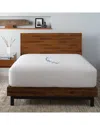 Ella Jayne Terry Cloth Waterproof Mattress Protector In White