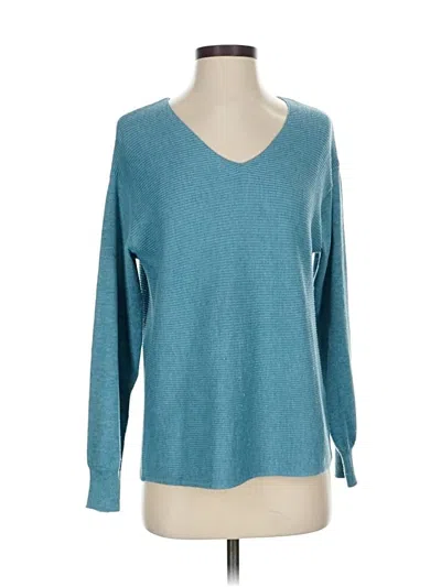 Pre-owned Ella Moss Pullover Sweater In Blue