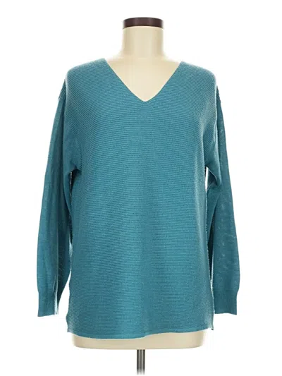 Pre-owned Ella Moss Pullover Sweater In Blue