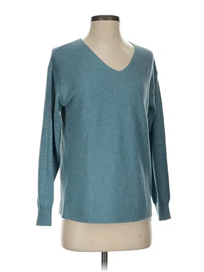 Pre-owned Ella Moss Pullover Sweater In Blue