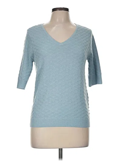 Pre-owned Ella Moss Pullover Sweater In Blue