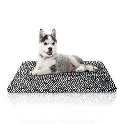 Elle Décor Elegant Design Pet Crate Mat, Stylish, Comfortable, And Durable Bedding For Dogs And Cats In Black