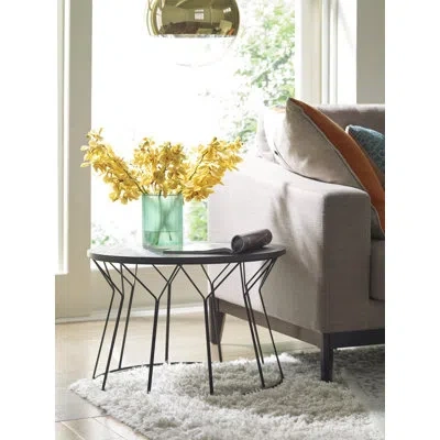 Elle Decor Fleur Fleur 24" Round Coffee Table In Black