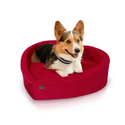 Elle Décor Heart-shaped Orthopedic Pet Bed, Stylish And Supportive Bed For Dogs And Cats In Red