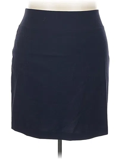 Pre-owned Ellen Tracy Casual Skirt In Blue