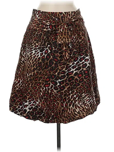 Pre-owned Ellen Tracy Casual Skirt In Brown