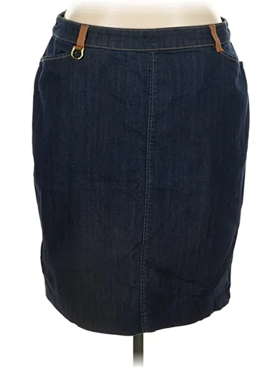 Pre-owned Ellen Tracy Denim Skirt In Blue