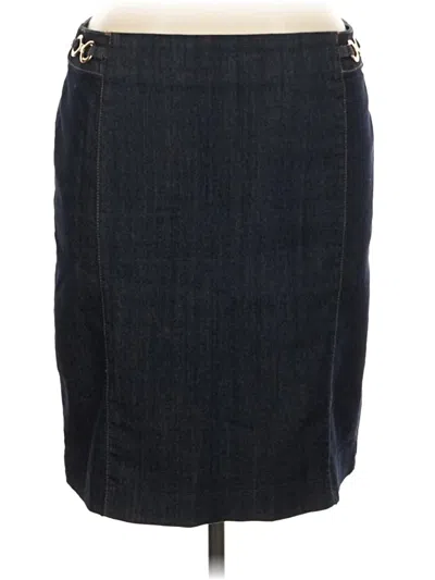 Pre-owned Ellen Tracy Denim Skirt In Gray