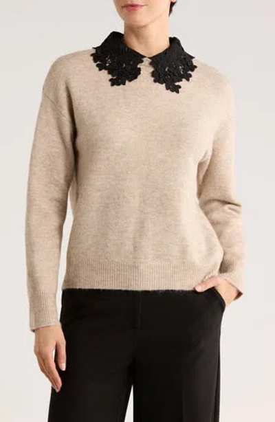 Ellen Tracy Floral Collar Sweater In Brown