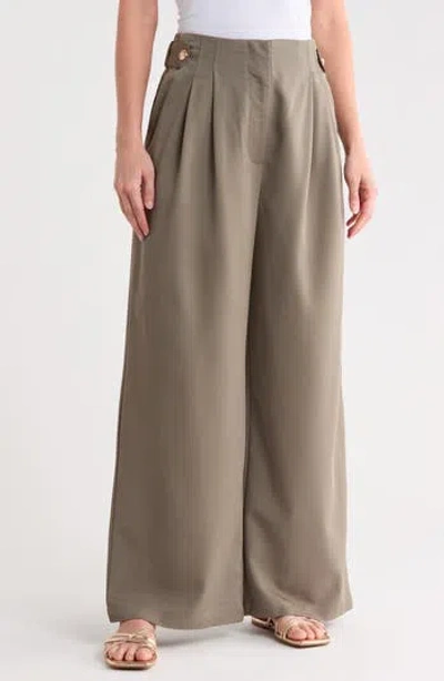 Ellen Tracy Pleated Wide Leg Pants In Brown