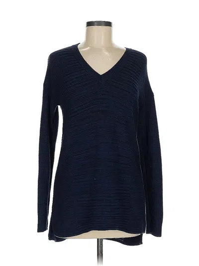 Pre-owned Ellen Tracy Pullover Sweater In Blue