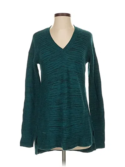 Pre-owned Ellen Tracy Pullover Sweater In Blue