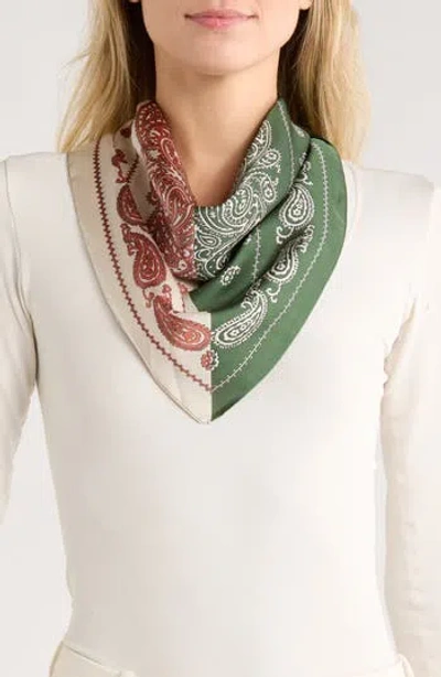 Ellian Paisley Colorblock Satin Scarf