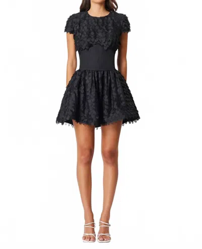 Elliatt Amberwing Petal Mini Dress In Black In Multi