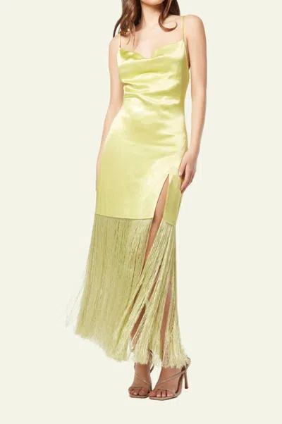 Elliatt Carlene Dress In Citrus In Orange