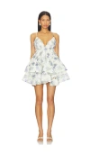 Elliatt Cleo Mini Dress In Animal Print