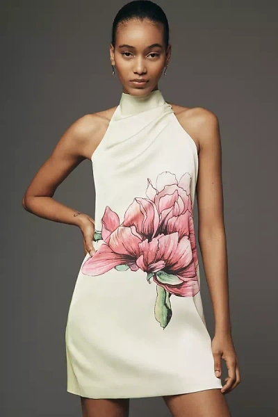 Elliatt Elisa Plus Halter Mini Dress In White