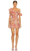 Elliatt Lace Midi Dress In Blush In 碎花