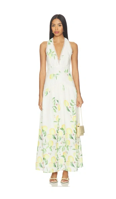Elliatt Hana Halter Gown In Multi