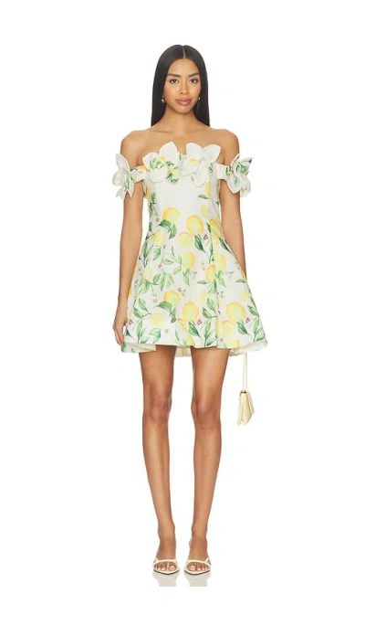Elliatt Hana Off The Shoulder Mini Dress In Multi