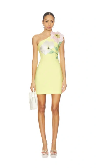 Elliatt Hope Mini Dress In Blue