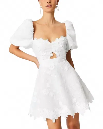 Elliatt Lulu Dress In White