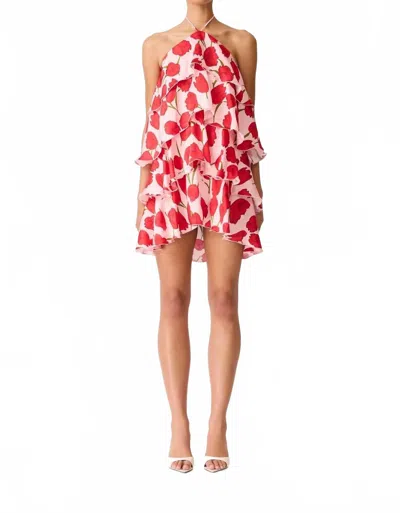 Elliatt Melia Mini Dress In Brown