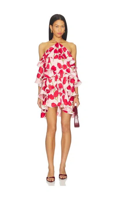 Elliatt Melia Mini Dress In Pink