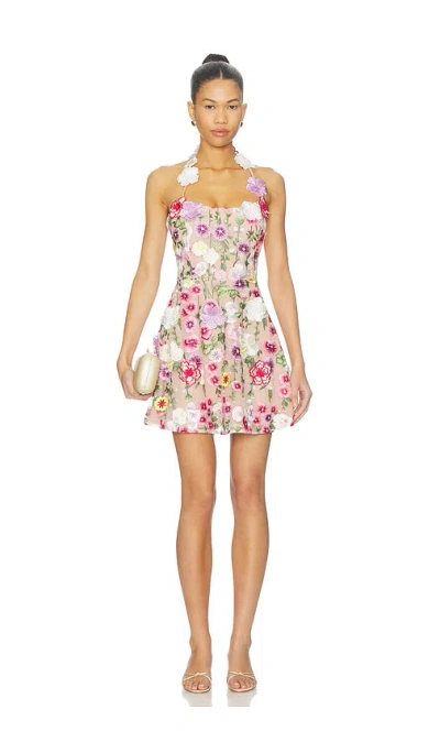 Elliatt Neve A Line Mini Dress In Multi