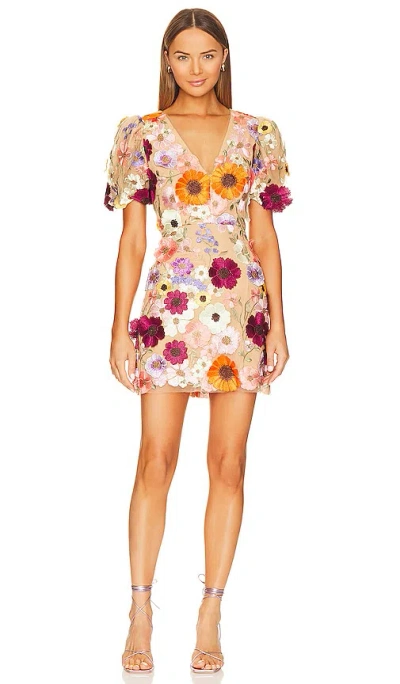Elliatt Rosalind Dress In Neutral