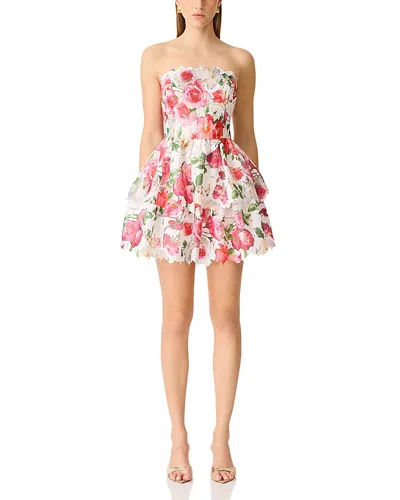 Elliatt Roselle Frill Mini Dress In White