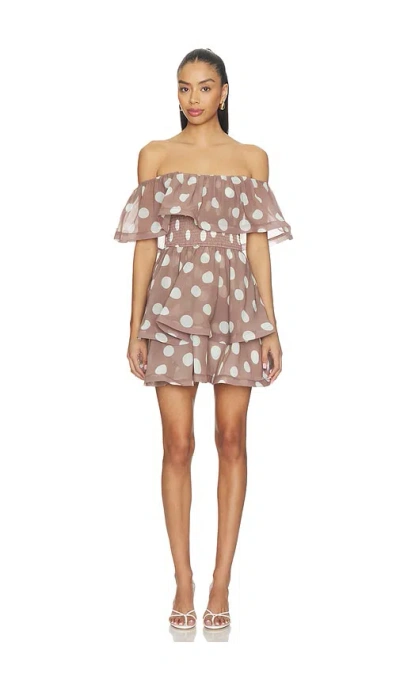 Elliatt Sola Polka Dot Mini Dress In Brown