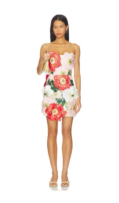 Elliatt Solara Mini Dress In Multi