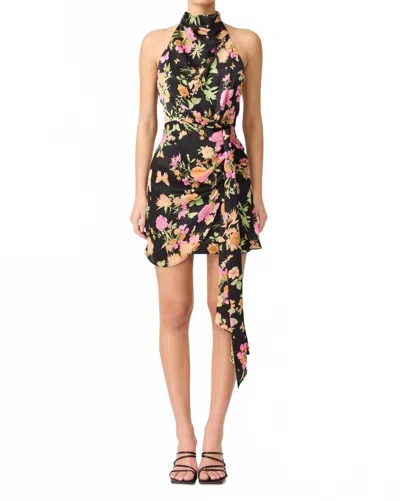 Elliatt Tess Halter Mini Dress In Black Multi