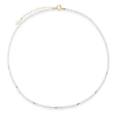 Elliot Young Jewelry The "glimmer Choker" With 14k Faceted Gold Beads & Pearl Necklace In Gray