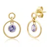 Elliot Young Women's 14k Double Circle Studs In Tanzanite In Multi