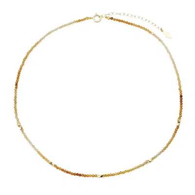 Elliot Young Women's "gemstone Choker" Necklace In Amber/gold In Multi