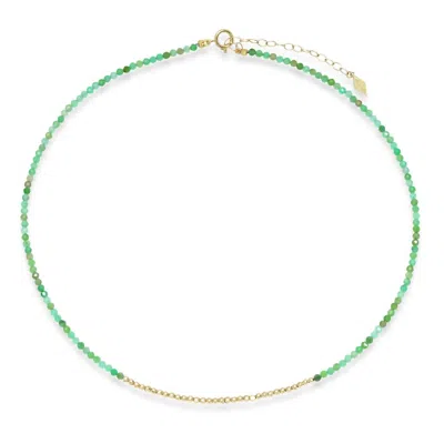 Elliot Young Women's "glimmer Choker" Necklace In Yello Gold/chrysoprase In Multi