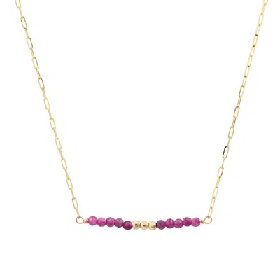 Elliot Young Women's Mini Healing Gem Bar Necklace In Gold/ruby In Multi