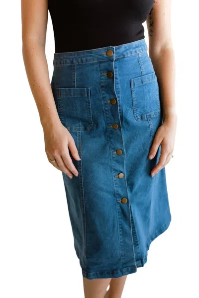 Ellison A-line Button Down Denim Skirt In Multi