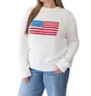 Ellsworth + Ivey American Flag Sweater In Ivory In Multi