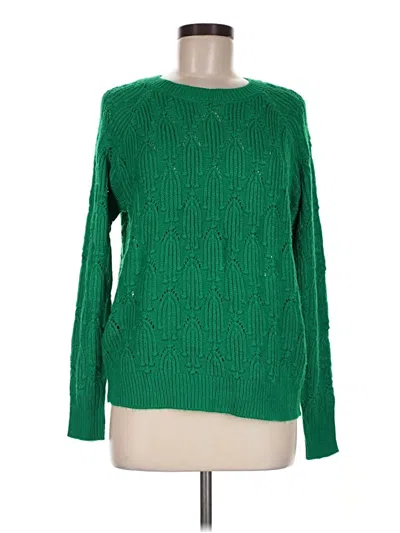 Pre-owned Elodie Pullover Sweater In Green