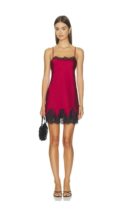 Elodie The Label Ellie Mini Dress In Animal Print