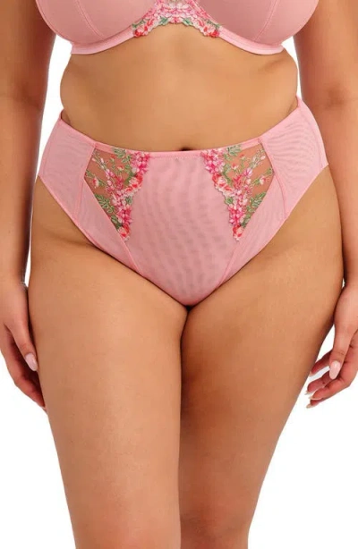 Elomi Aerith Embroidered Briefs In Pink